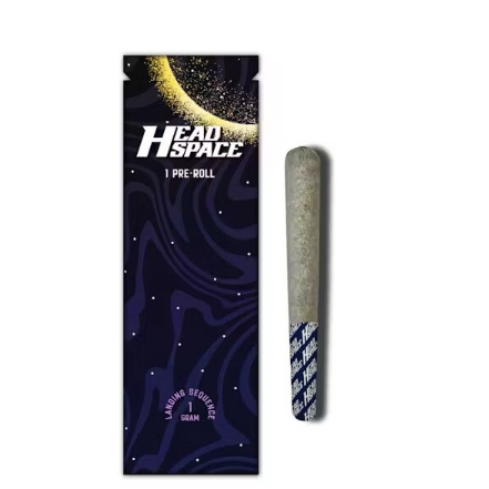 Blue Dream Head Space