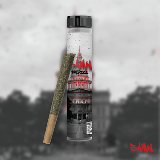 Lemon OG Bamn