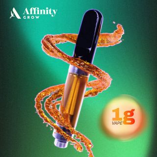 Bachelor Party Live Terpene Affinity