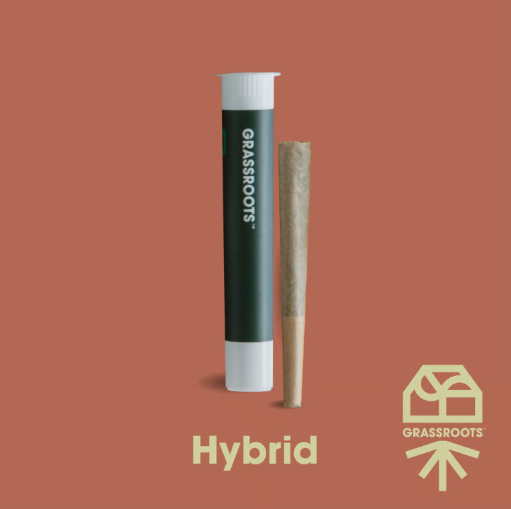 Buy Cannabis online | Higher Collective - Torrington | Torrington |  Connecticut