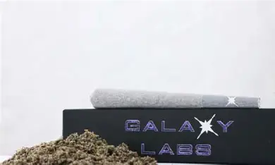 Grape Pie #4 Galaxy Labs