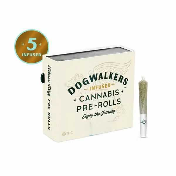 Mini Show Dogs | Sour Diesel Dogwalkers Mini Show Dogs | Sour Diesel Dogwalkers