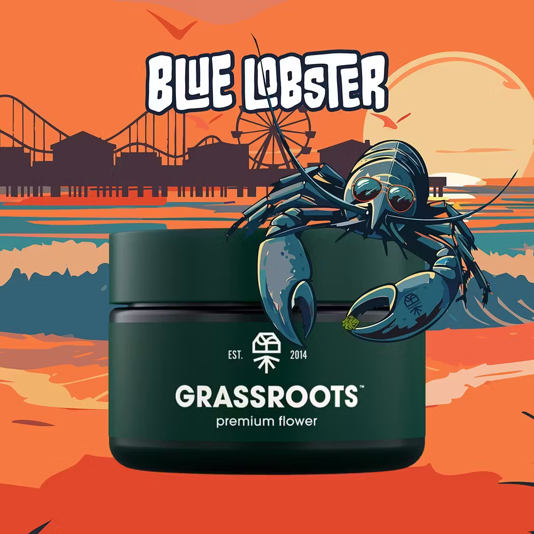 Blue Lobster Grass Roots