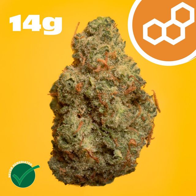 Grand Pappy's Chillemon Theraplant