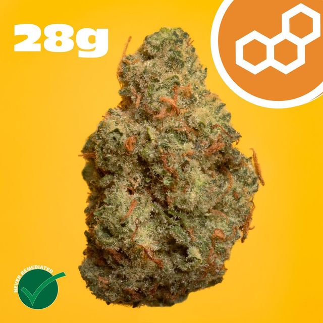 Grand Pappy's Chillemon Theraplant