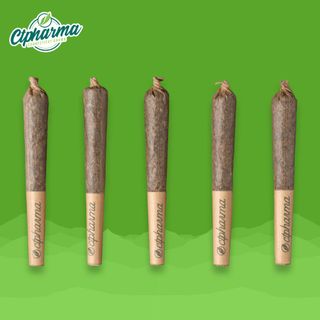 Lemon Cherry Sherb CTPharma