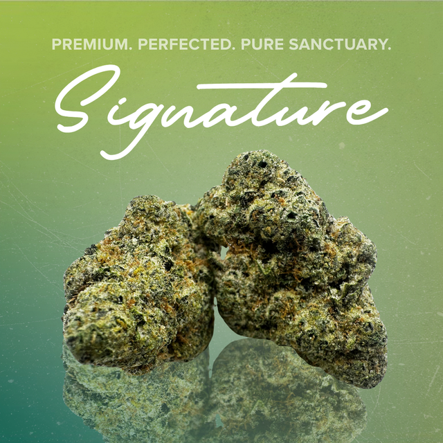 Lemon Ztraws Sanctuary Cannabis Lemon Ztraws Sanctuary Cannabis