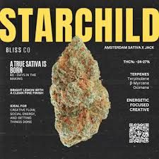 Bliss Co. 25% Off! Cannabis Promo, Cannabis Sales, Cannabis Discounts, Cannabis on Sale, Bliss Co. 25% Off! 2