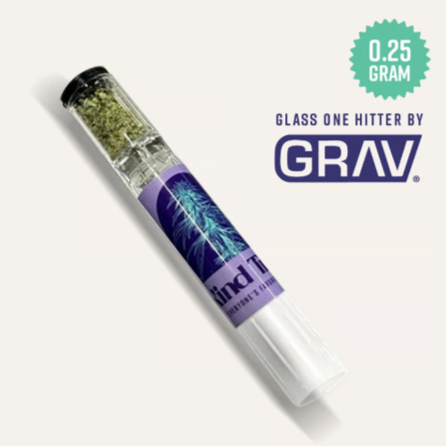 Banana Tree Kind Tree