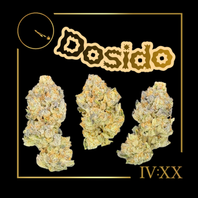 Dosido 3.5g Four - 20 