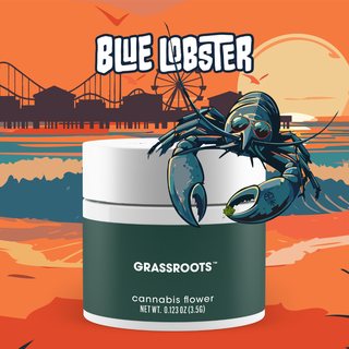 Blue Lobster Grassroots