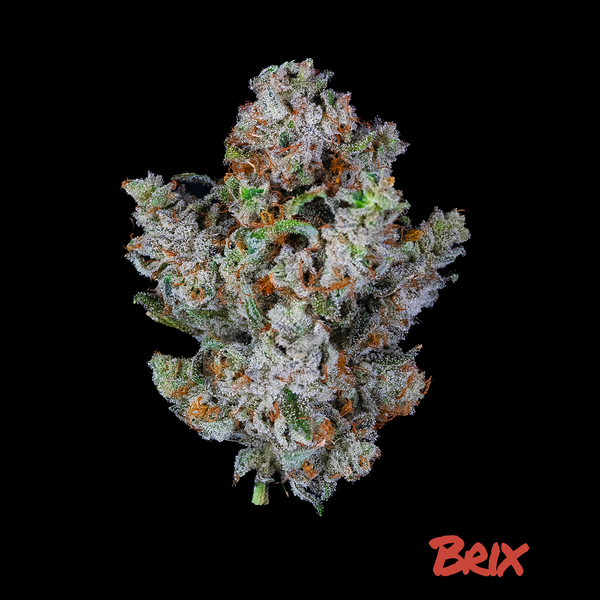 GG4