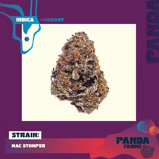 MAC Stomper Panda Farms