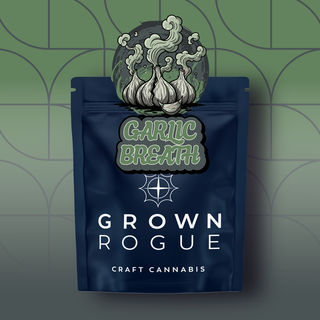 Garlic Breath Grown Rogue