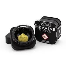 Cannabis Promo, Cannabis Sales, Cannabis Discounts, Cannabis on Sale, 25% Off Bloom/Blaze/Kaviar 1