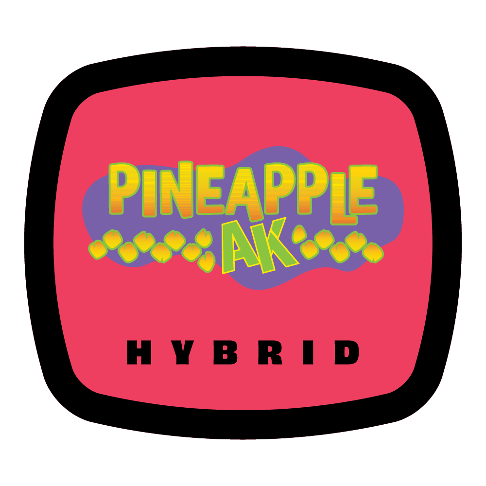 93 Boyz Pineapple AK Popcorn 14g