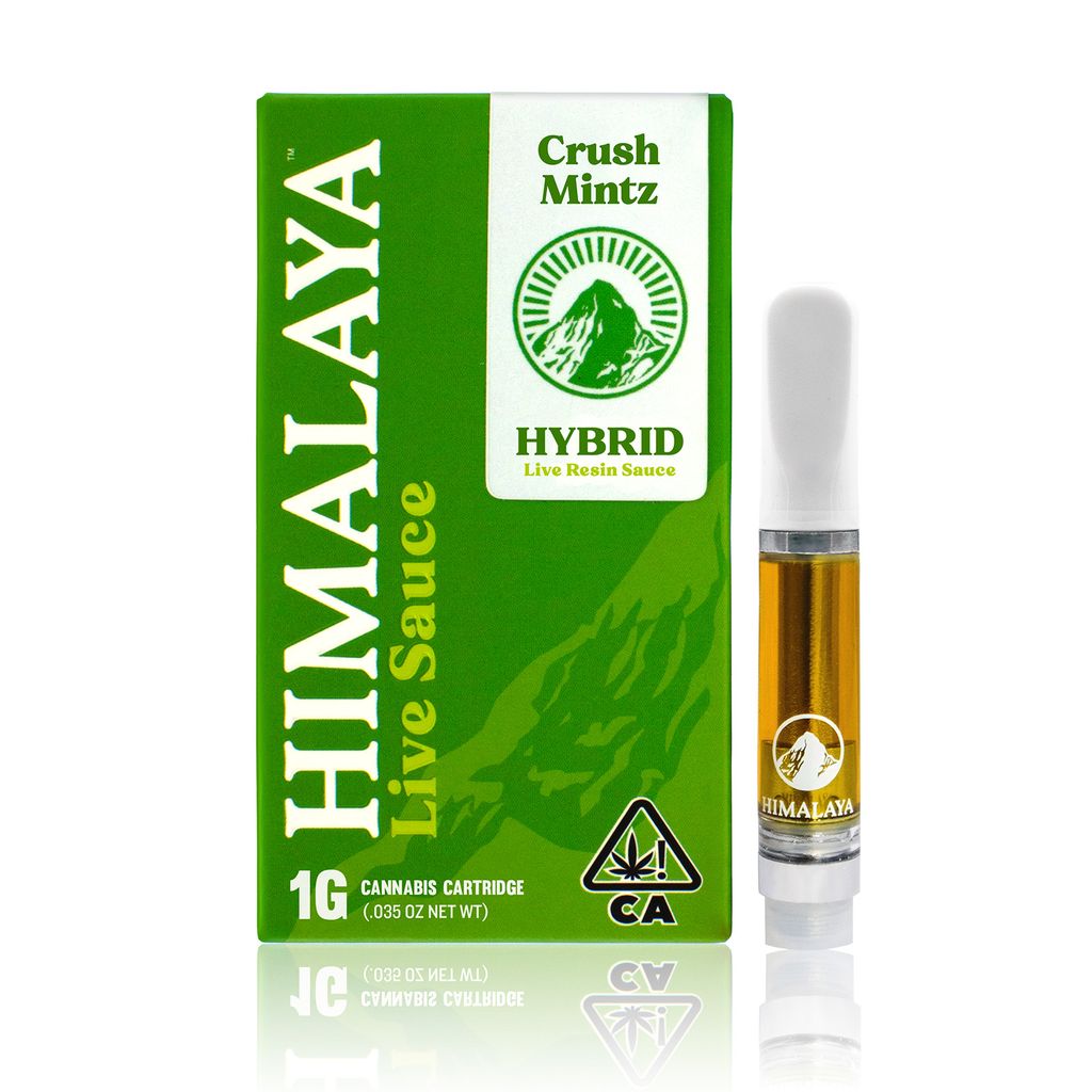 Himalaya: Him - Crush Mintz - Live