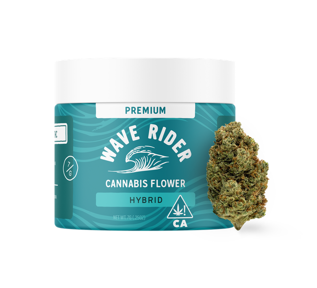 Apple Fritter - 7g - Hybrid Wave Rider