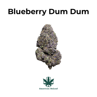 Blueberry Dum Dum American ReLeaf