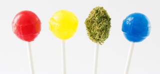 Lollipop High Tide Maine