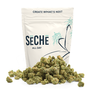 Alpha Runtz SeCHe