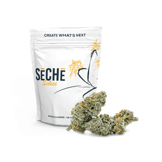 Pie Hole SeCHe