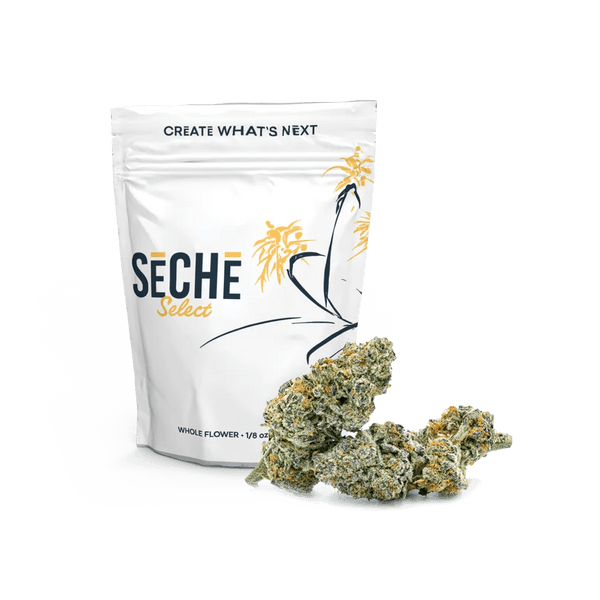 Pie Hole SeCHe