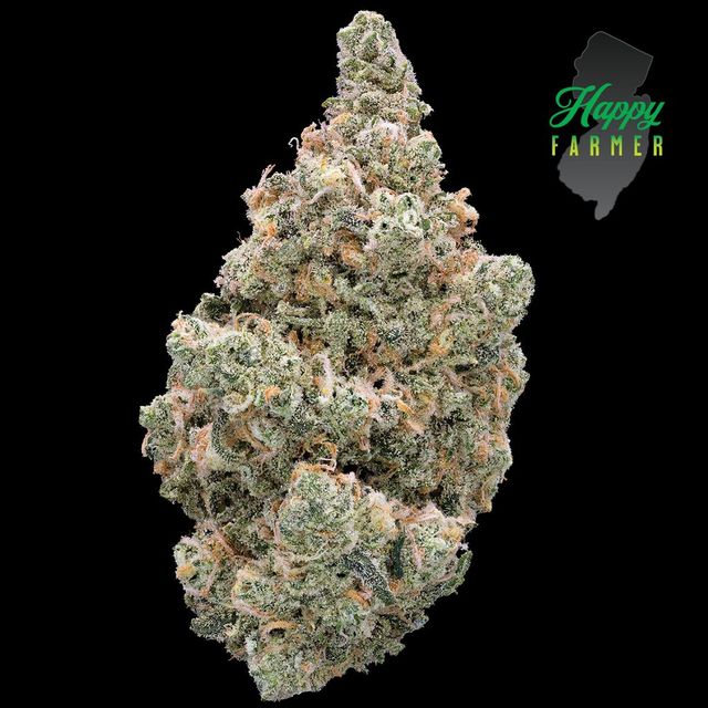 Blue Dream Happy Farmer Blue Dream Happy Farmer