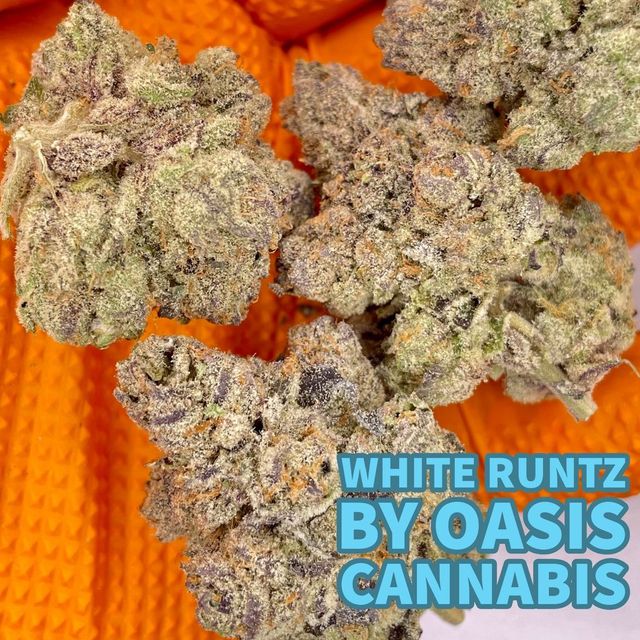 White Runtz 3.5g Oasis Cannabis