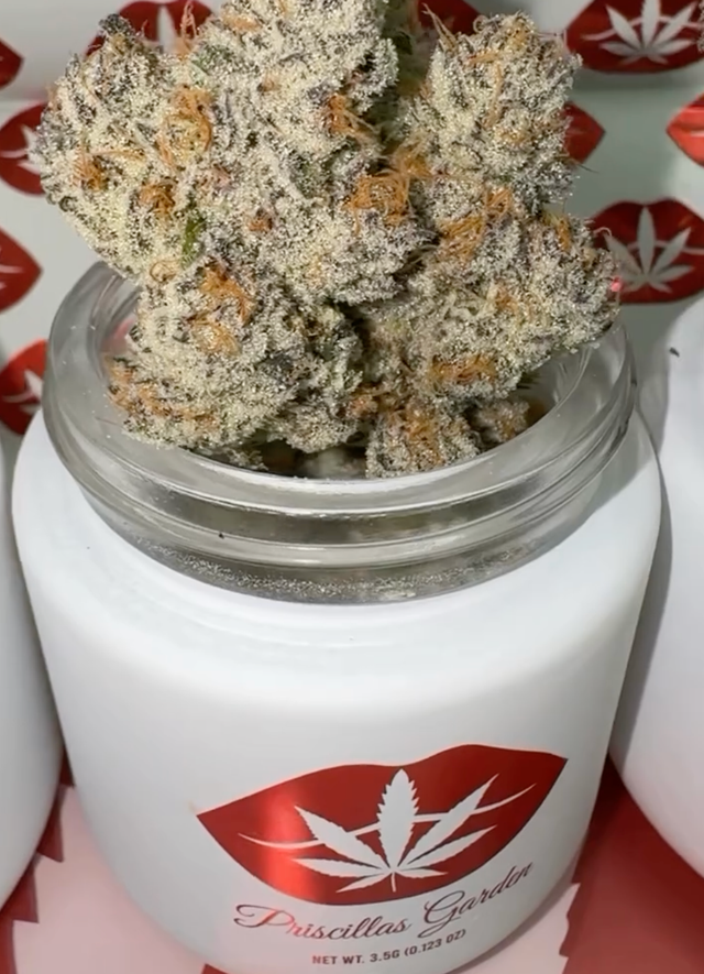 Mule Fuel 3.5g SATIVA Priscilla's Garden Mule Fuel 3.5g SATIVA Priscilla's Garden