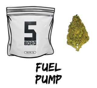 Fuel Pump .7g Dime INDICA 5 Boro