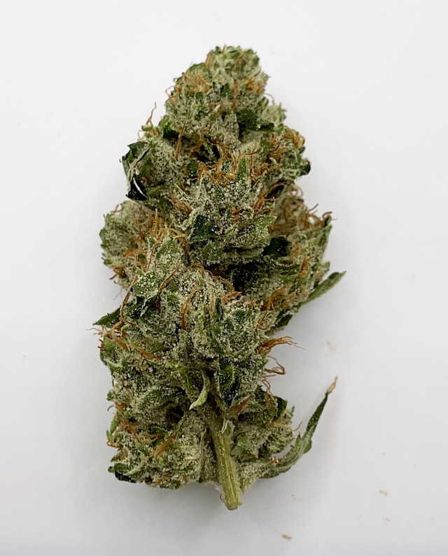 Sour Diesel 3.5g Oasis Cannabis