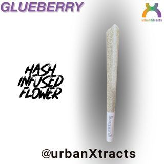 Cannabis Promo, Cannabis Sales, Cannabis Discounts, Cannabis on Sale, 15% Off All UrbanXtracts Products 1