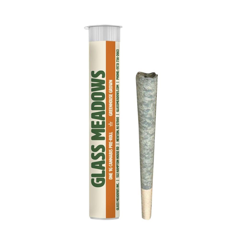 Glass Meadows Maple Nectar 8 Single | 1g