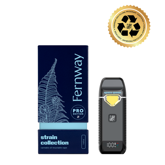 Space Queen 2g AIO Vape PRO Edition Fernway