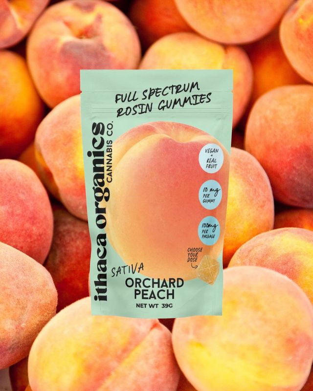 Orchard Peach Rosin Gummies Ithaca Organics