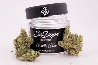 Cannabis Promo, Cannabis Sales, Cannabis Discounts, Cannabis on Sale, Micro-cultivator Half-Ounce bundle: 4 Eighths for the Price of 3 2