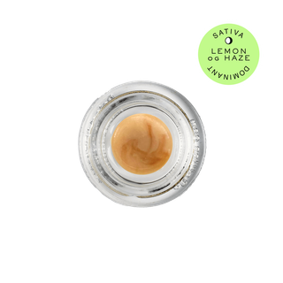 Cannabis Promo, Cannabis Sales, Cannabis Discounts, Cannabis on Sale, 25% Off Hudson Rosin 1