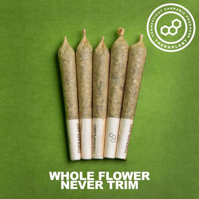 Permanent Marker Theraplant