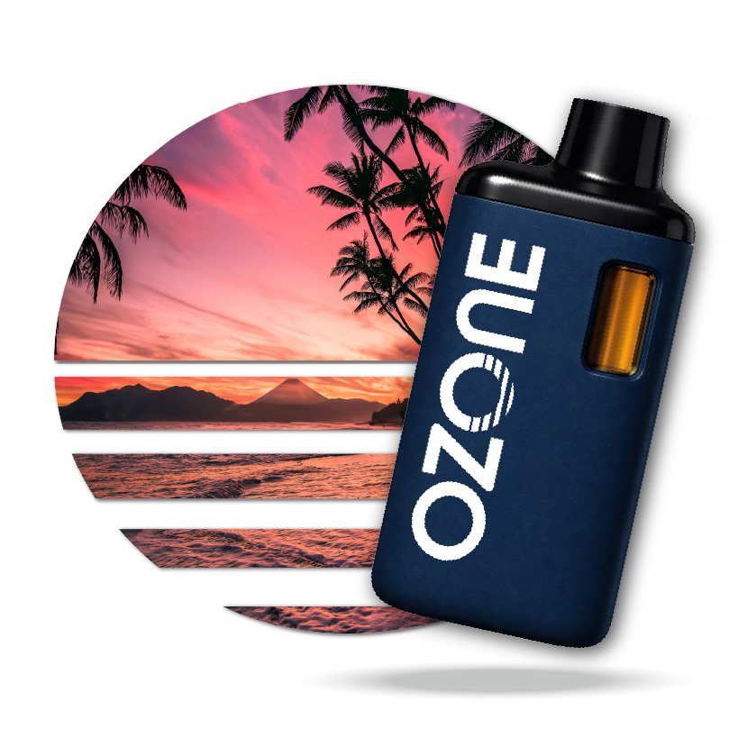 Buy Maui Wowie 2g Disposable online - Valley Wellness Raritan | Raritan | New Jersey Buy Maui Wowie 2g Disposable online - Valley Wellness Raritan | Raritan | New Jersey