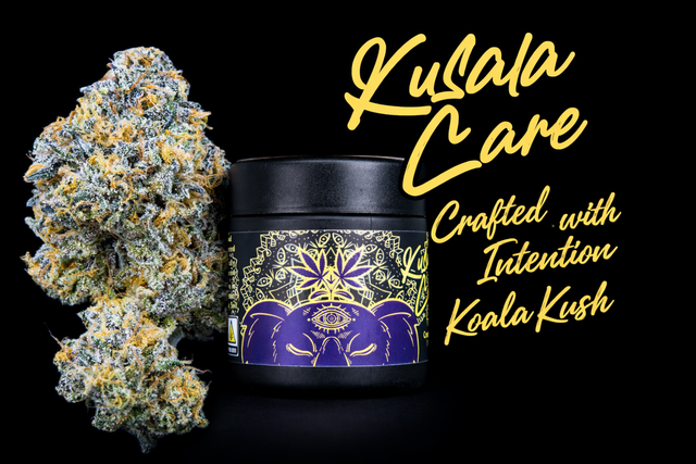 Koala Kush Kusala Care Koala Kush Kusala Care
