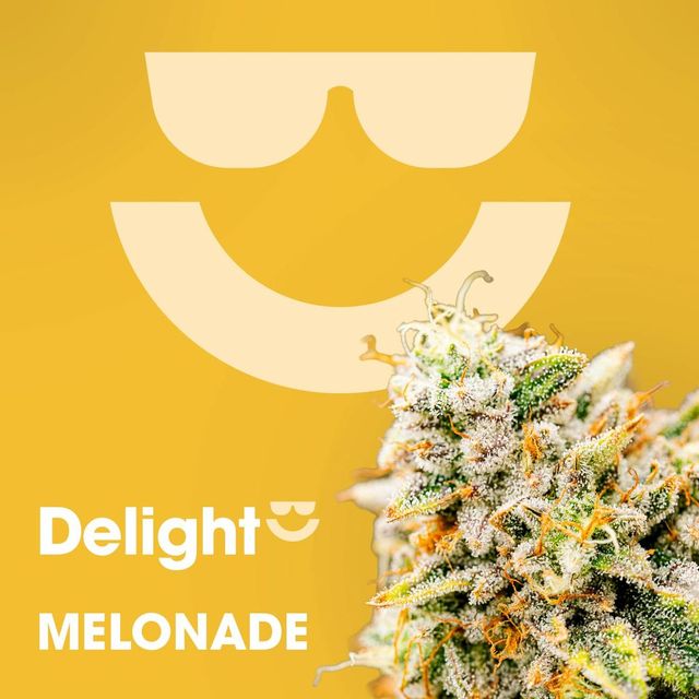 Melonade Delight