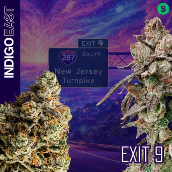 Exit 9 INDIGO EAST