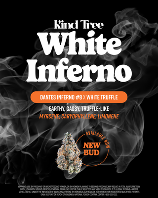White Inferno  Kind Tree