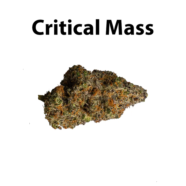 Critical Mass American ReLeaf