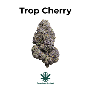 Tropical Cherry American ReLeaf