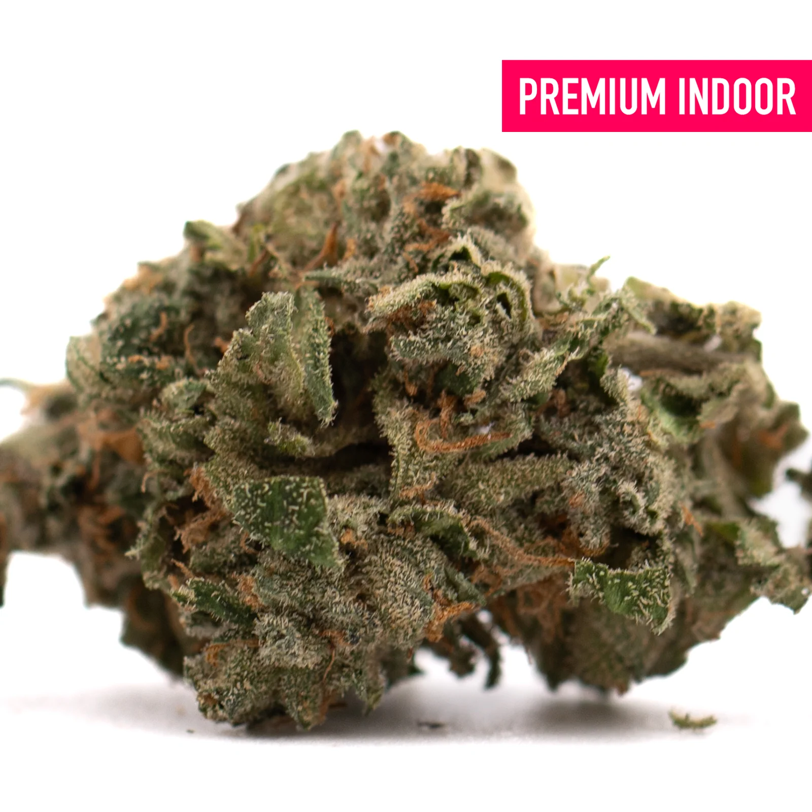 Canal St Runtz Blossom Flower