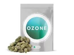Hashburger Ozone