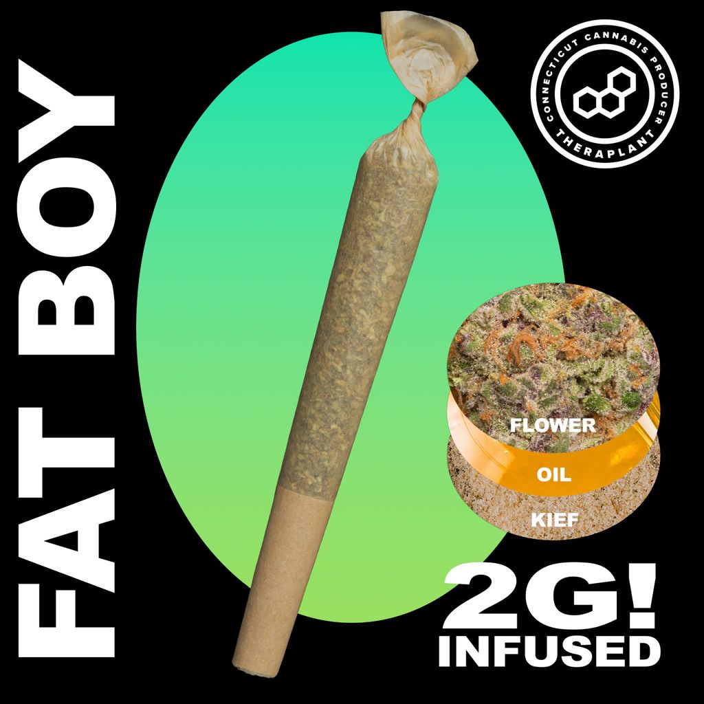 Theraplant Modified Donkey Fatboy 2g