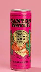 Raspberry Organic Hemp Delta 9 Canyon Water
